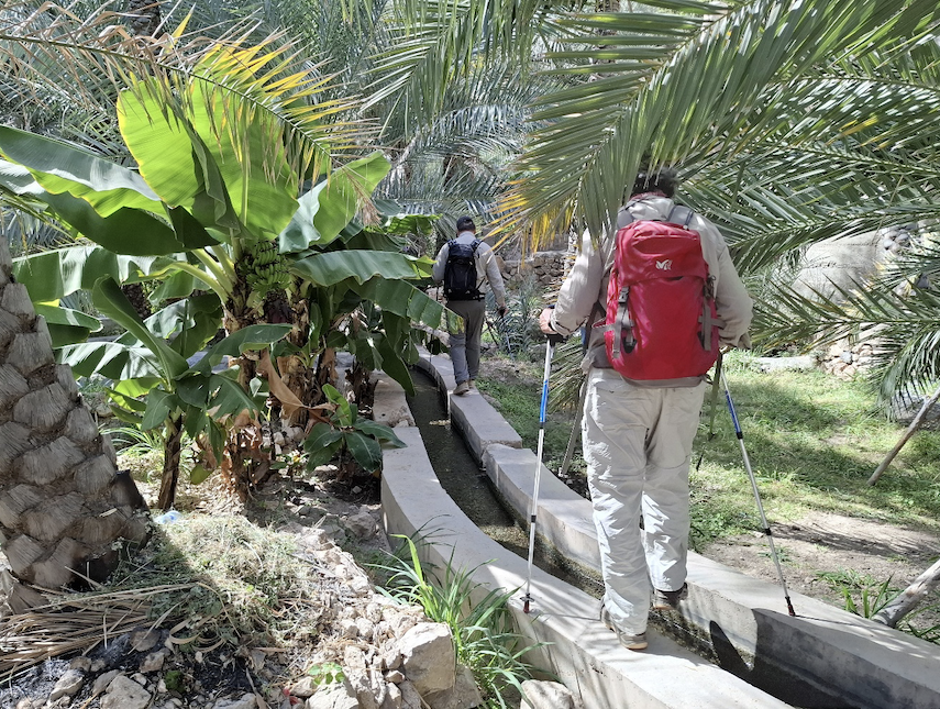 Canyons, wadis, dunes et océan au Sultanat d’Oman